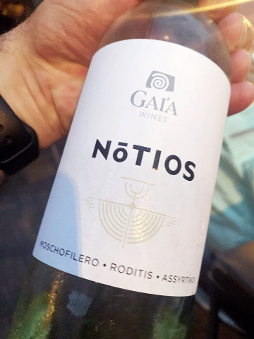 2019 NOTIOS WHITE - Gaia Wines