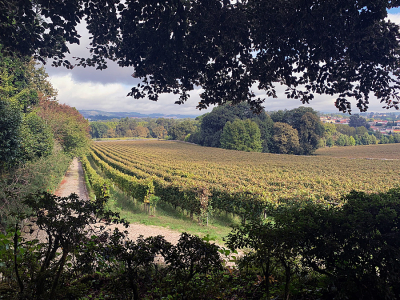 Quinta da Avelada
