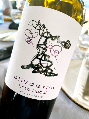 2021 Bobal – Olivastro – Bodega Carres