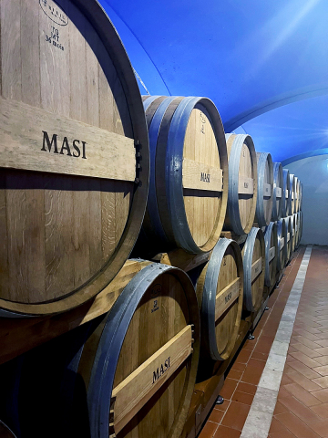 Masi