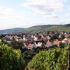 Blick über Geisenheim bis nach Rüdesheim & Bingen
