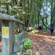 Rheinsteigfeeling