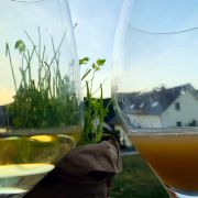 Wein & Beer