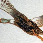 2000 Melini Chianti Classico Riserva DOCG "Laborel"