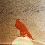 2006 Nero di Troia - Torre del Falco - Torrevento