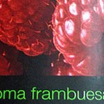 2009 Syrah - aroma frambuesa - Colchagua Valley