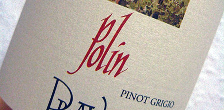 2008 Pinot Grigio - Polin - Vignetti delle Dolomiti IGT
