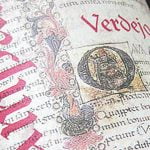 2008 Trascampanas Verdejo - Bodega Gótica