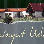 2009 Sauvignon Blanc - Weingut Uebel