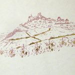 2009 Sancerre - Bernard Reverdy et Fils