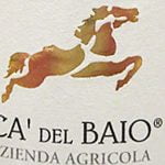 2010 Nebbiolo - Bric del Baio - Azienda Agricola Ca' del Baio - Langhe