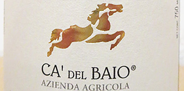 2010 Nebbiolo - Bric del Baio - Azienda Agricola Ca' del Baio - Langhe