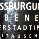 2011 Weißburgunder - Bubeneck - Markus Schneider