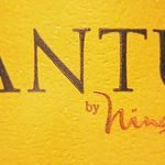 2010 Syrah - Antu - MontGras / Ninquén