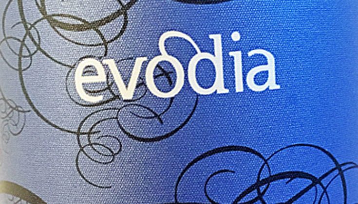 2014-garnacha-evodia-altovinum-01