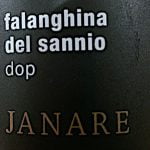 2015 Falanghina del Sannio - Janare - La Guardiense