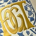 2019 Grauer Burgunder trocken - Samtmuschel - Georg Fogt