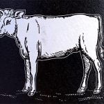 2019 Kleiner Weisser - Metzger