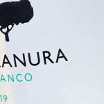 2019 Planura Branco – Vinho Regional Alentejano – Filipe Sevinate Pinto