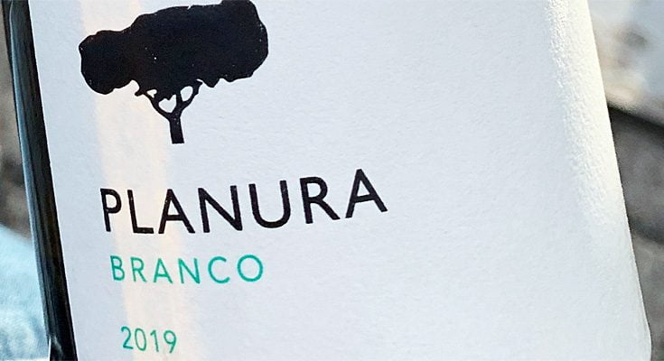 2019 Planura Branco – Vinho Regional Alentejano – Filipe Sevinate Pinto