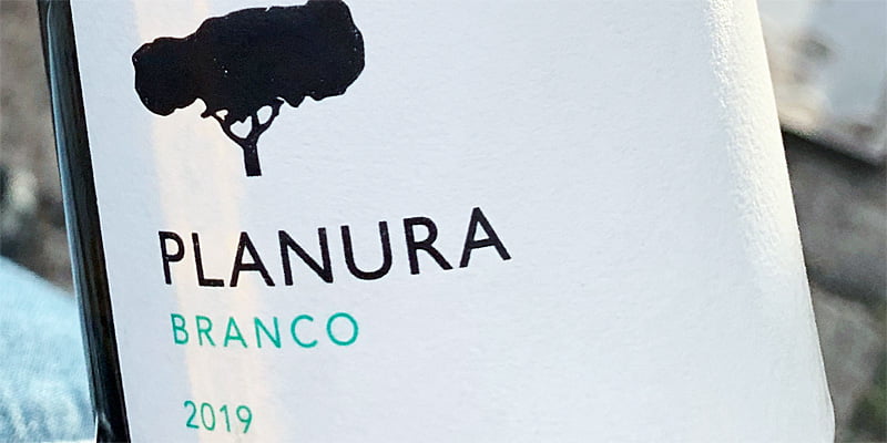 2019 Planura Branco – Vinho Regional Alentejano – Filipe Sevinate Pinto