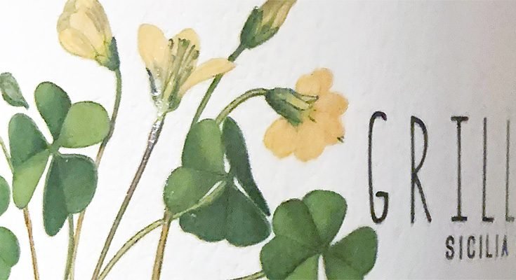 2020 Grillo – Naturalmente Bio – Sicilia DOC – Caruso & Minini