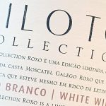 2020 Vinho Branco – Piloto Collection – Quinta do Piloto