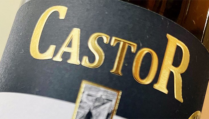 2020 Grauer Burgunder - Pinot Mons - Castor