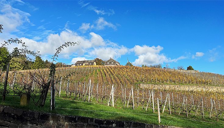 Weintour Elsass 2022