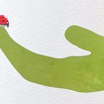 2022 Pinot Grigio - Veneto DOC - Käfer