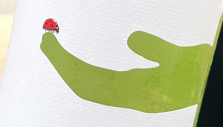 2022 Pinot Grigio - Veneto DOC - Käfer