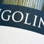 2019 Valpolicella Classico – Pozzetto – Ugolini