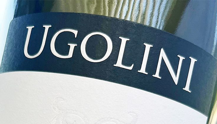 2019 Valpolicella Classico – Pozzetto – Ugolini