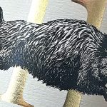 2020 Parcela 11 - Finca Del Tuerto - Ego Bodegas