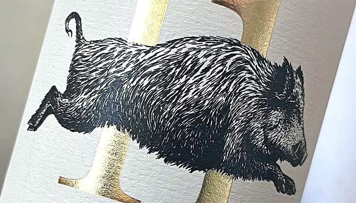 2020 Parcela 11 - Finca Del Tuerto - Ego Bodegas